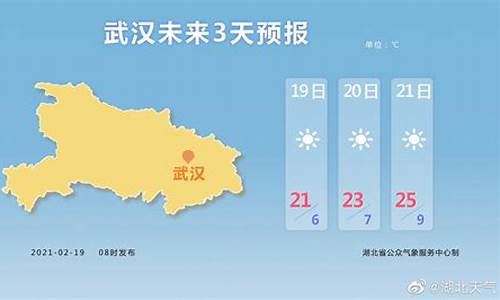 武汉天气预报15天气预报查询结果_武汉一